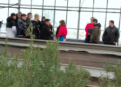 Natale di solidarietà e inclusione per gli studenti ENGIM Villafranca